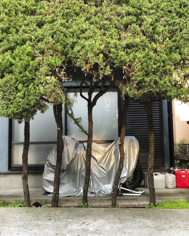 149085626_2140035026312392_7880907745665220608_n