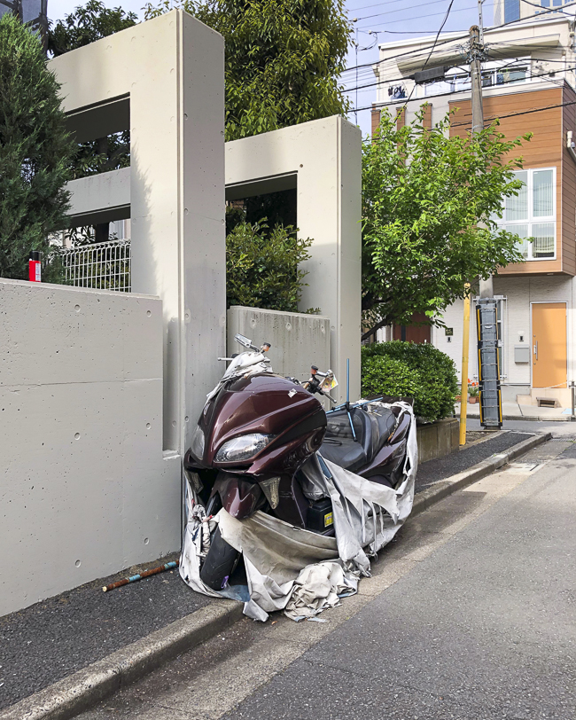 158631046_566900060463939_9029706085962874880_n