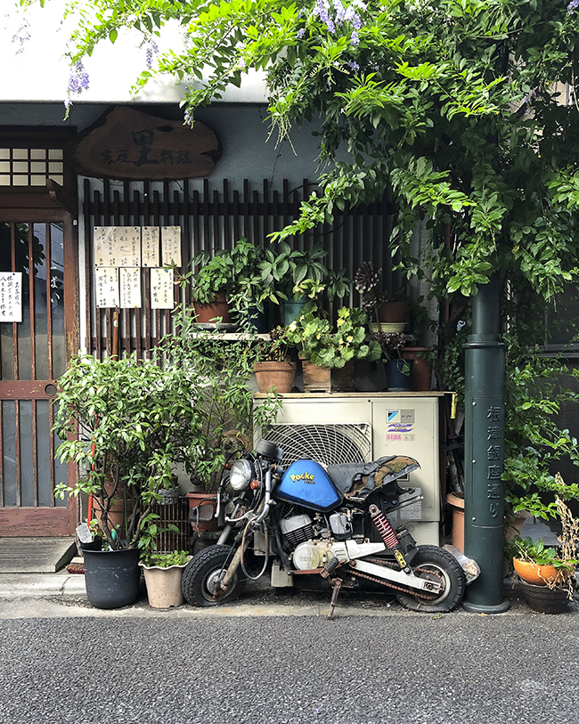 169363322_700443320419438_841726685647732736_n