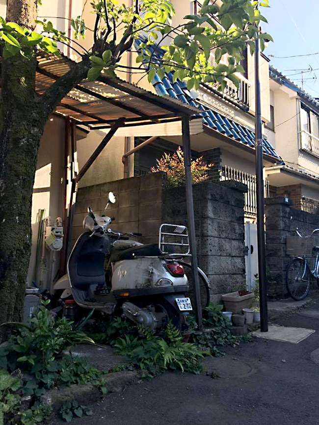 18361113_11201391146637875_1394062170_n