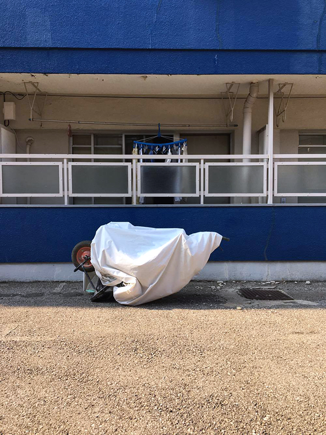 20205866_1266191310157858_1919262595_o