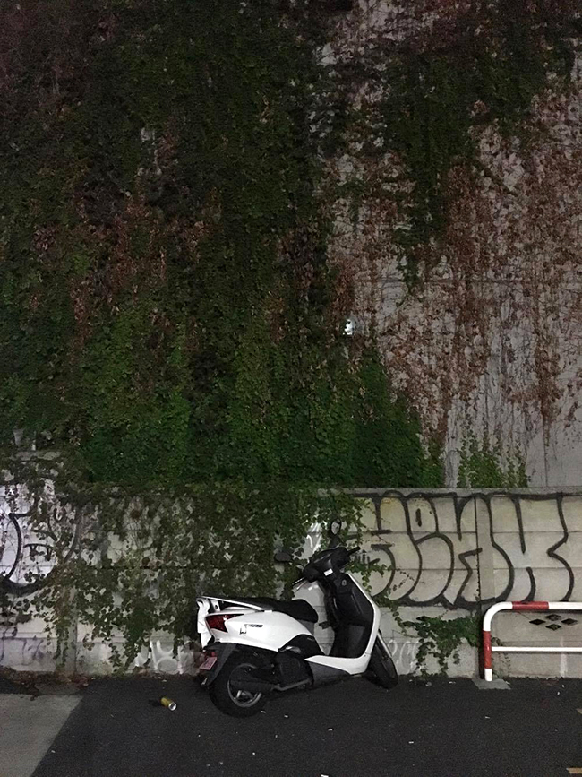 21733705_11313784218731900_757974994_o