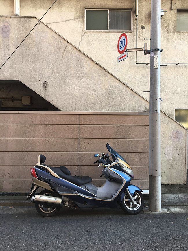 23760375_11371338882976433_131188665_o