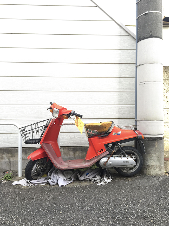 23798064_11371338889643099_110851458_o