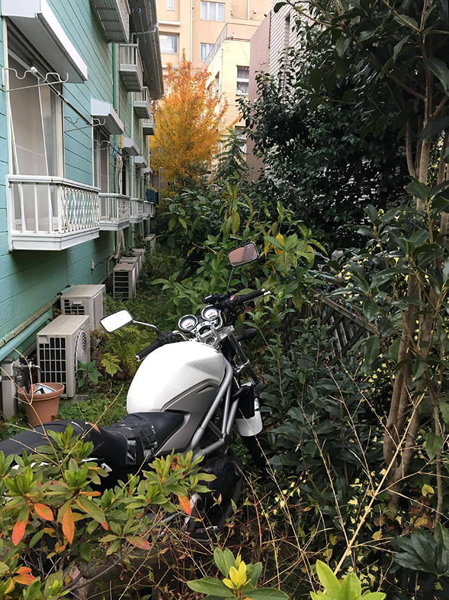 25035467_11389031844540470_1112928788_o