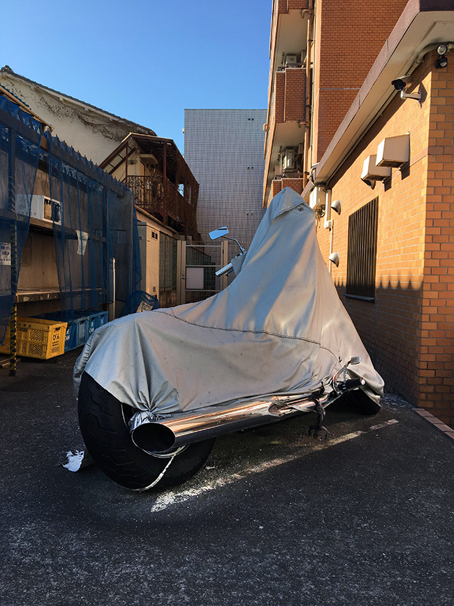 26972054_11423151154461872_507831334_o