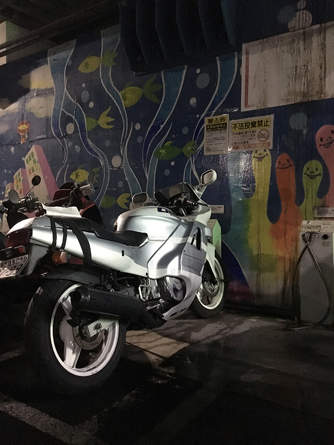 27393562_11432584586851862_326615193_o