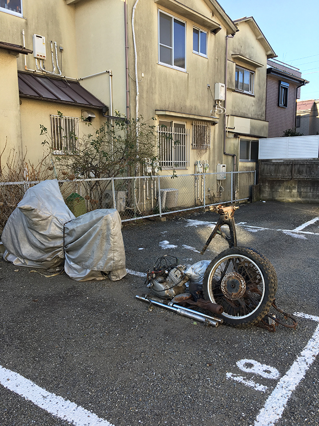 34075979_11550476388396014_6187352396541198336_n