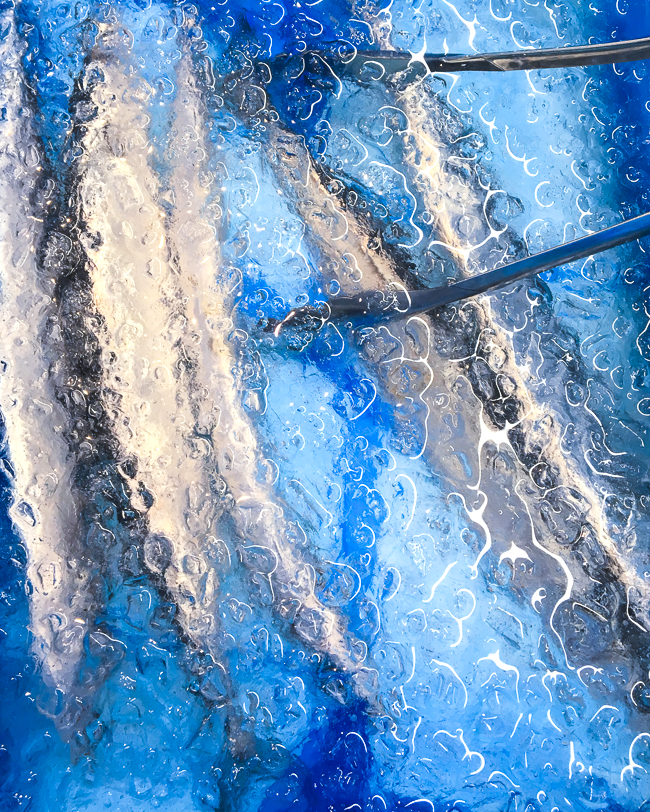 144096849_329906744483863_5210942597417140224_n