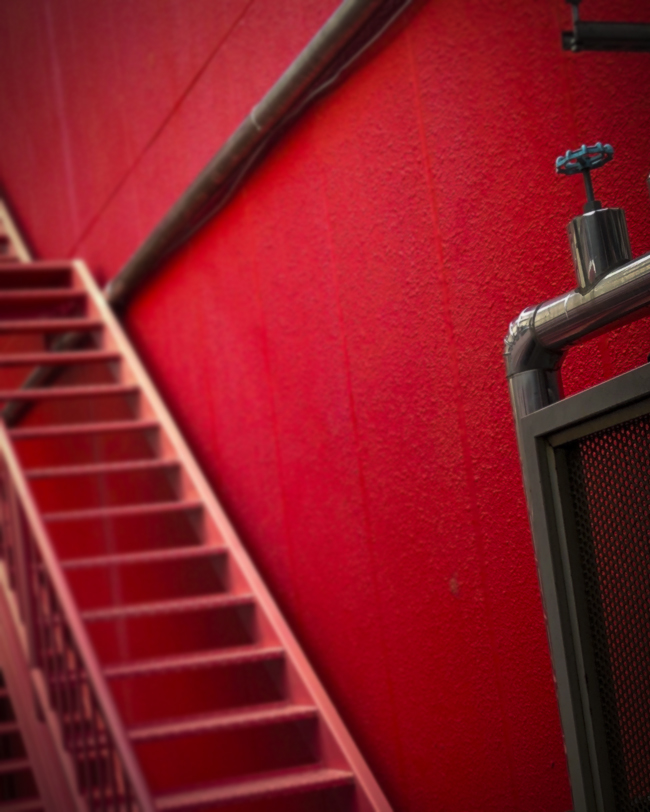 150618228_316690112288625_2504288807734476800_n