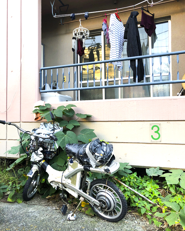 162523680_616472435500686_8609179786402594816_n