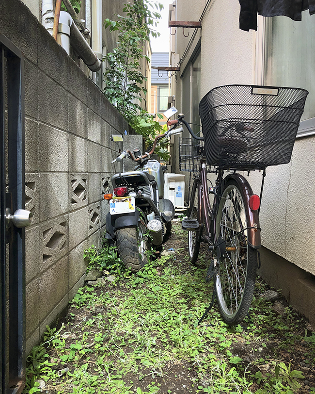 166524055_846947869012956_6747119336814542848_n