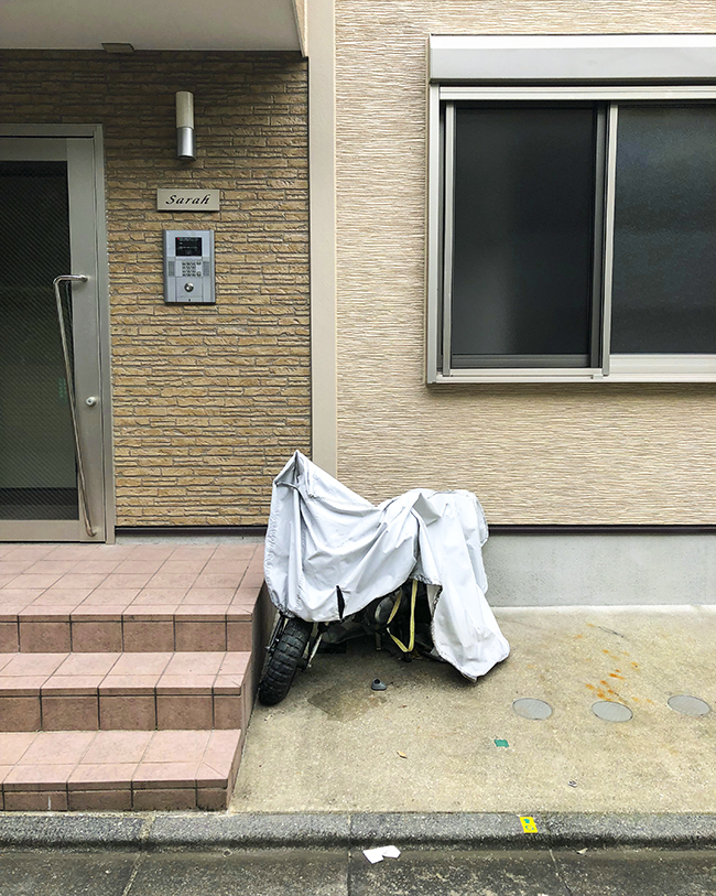 167362891_752257288523950_1340121790256513024_n